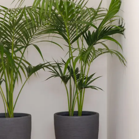 Panoramica Dei Templi 4* Агрідженто