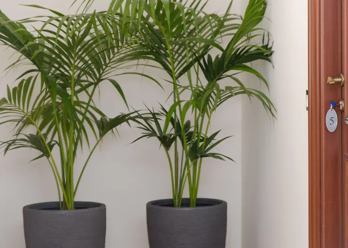 Panoramica Dei Templi 4* Агридженто